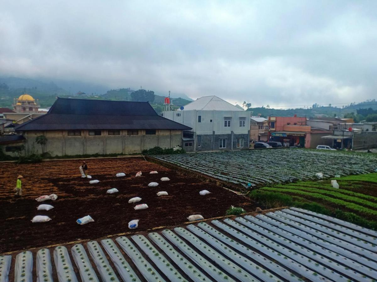 Anemon Dieng Buitenkant foto